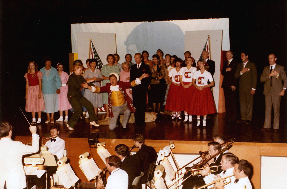 1984 | Bye Bye Birdie