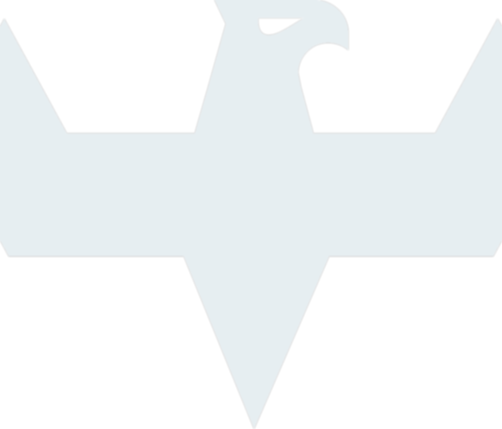 icon blue 2.png