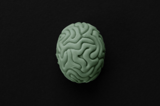 cerveau.png