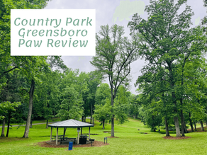 Exploring Country Park: The Ultimate Dog Walking Destination in Greensboro, NC