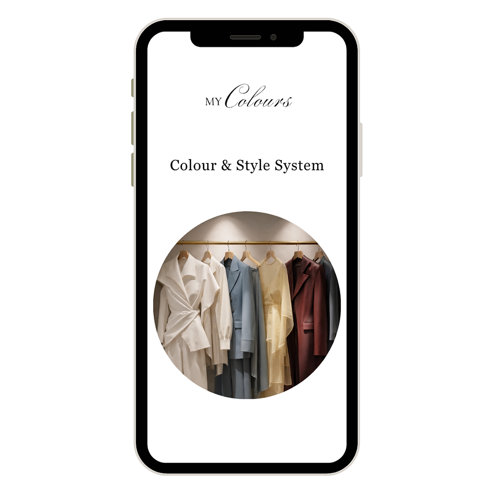 Colour Analysis and Style System