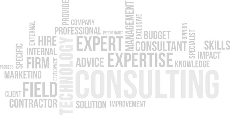 Consultancy with Experience