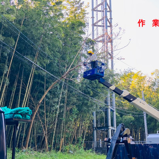 高所作業車　伐採