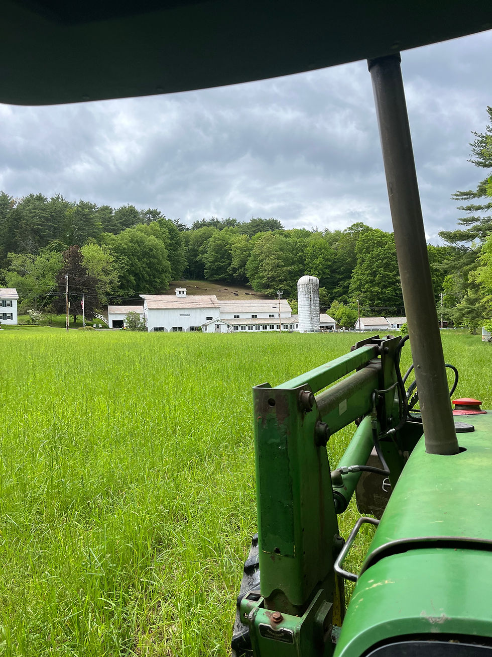 Farm view 2025