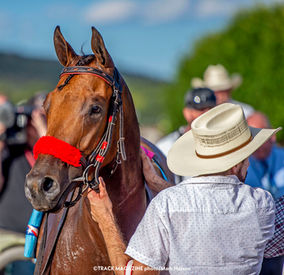 Head shot of race winner at Ruidoso Downs Race Track