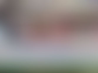 농협, 베트남 인삼시장 진출 본격 시동