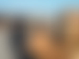 남부지방산림청, 소나무류 취급업체 특별단속