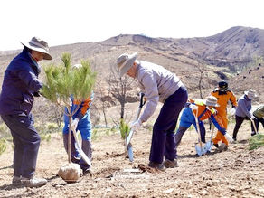 문재인 대통령, 식목일 맞아 금강소나무 심어