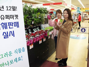 슈퍼마켓에서 꽃 사세요! ‘Flower in shop’ 오픈