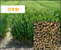 만물이 깨어나는 경칩에 다시 보는 ‘우리 보리’