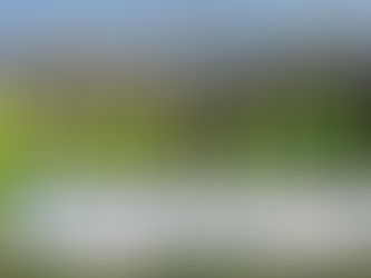 농협중앙회, 영농철 농촌 일손돕기 지속