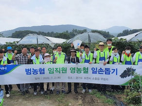 범농협 임직원, ‘농촌일손돕기’ 출동