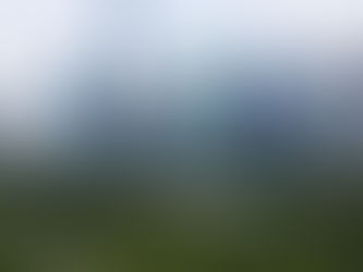 도심 속 초미세먼지, 도시숲이 잡는다!