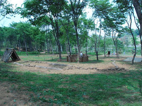 여름철 도심 열섬현상 완화하는 도시숲 조성!