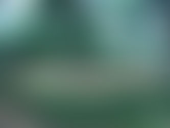 여름철 도심 열섬현상 완화하는 도시숲 조성!