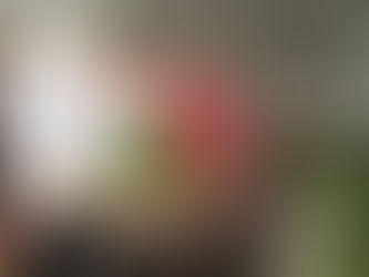 고온 극복 혁신형 스마트 온실 준공식