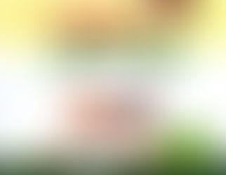 농촌진흥청, 농촌관광 동영상 배부