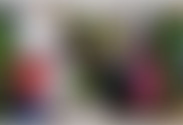 ‘식물로 학교 미세먼지 줄일 방안’ 논의