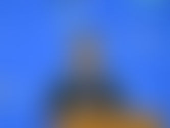 산림청, '임산물 수출촉진 대책' 발표