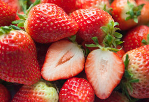 국산 여름딸기 ‘무하’ 미얀마에서 싹 틔운다