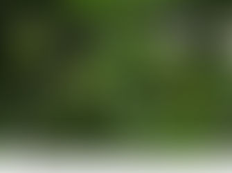 저온 피해 입은 배, 열매 솎는 요령 제시