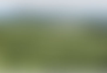 고랭지 밭 흙 유실, 호밀로 관리하세요