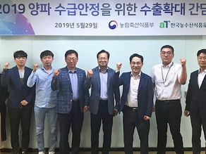 과잉생산 양파, 해외 수출로 해법찾는다