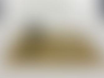 농촌진흥청, 유산균 활용 황기 잎 발효차 개발