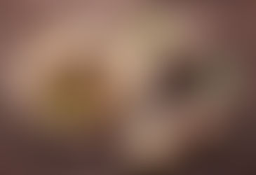 겨울철 하우스 감자, 온도와 환기 관리가 중요