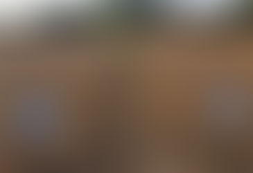 28일 제주서 콩 '아람' 품종 현장 평가회