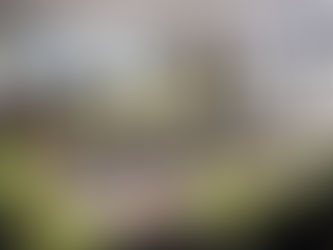 아산, 정읍, 충주, 세종 신고건 고병원성 AI확진