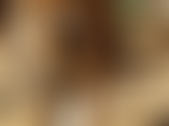 100여년 만에 백두대간 품으로 돌아온 '백두산호랑이'