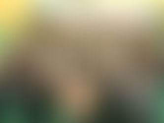 국민 참여 조직 진단 워크숍 개최