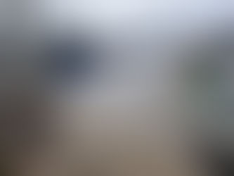 내년 2월까지 3대 가축질병 특별방역체제 돌입