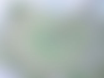 ‘W 인증샷’으로 아이들에게 사랑을 선물하세요