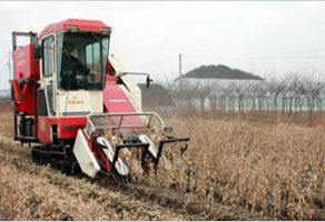 논 콩 수확, 맥류 파종 기계화 기술 연시회
