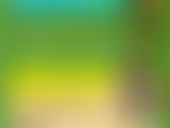 '산림청장과 함께 하는 숲여행' 팸투어