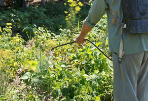 농약 관리 강화로 농산물 안전성 향상