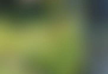 농약 관리 강화로 농산물 안전성 향상