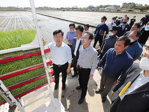 드문모심기 현장 시연행사