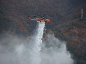 봄비로 인한 산불예방, 하루 경제적 가치 최대 121억