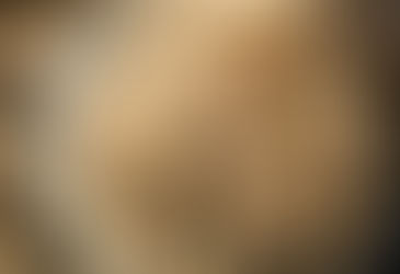 고년근 인삼과 새싹 삼, 쓰임새와 성분 달라