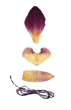 couleur_fleur.jpg