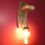 Miniature : Lampe murale "Bocal et bois brut"