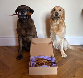 Basil and Gus posing with their treat box 