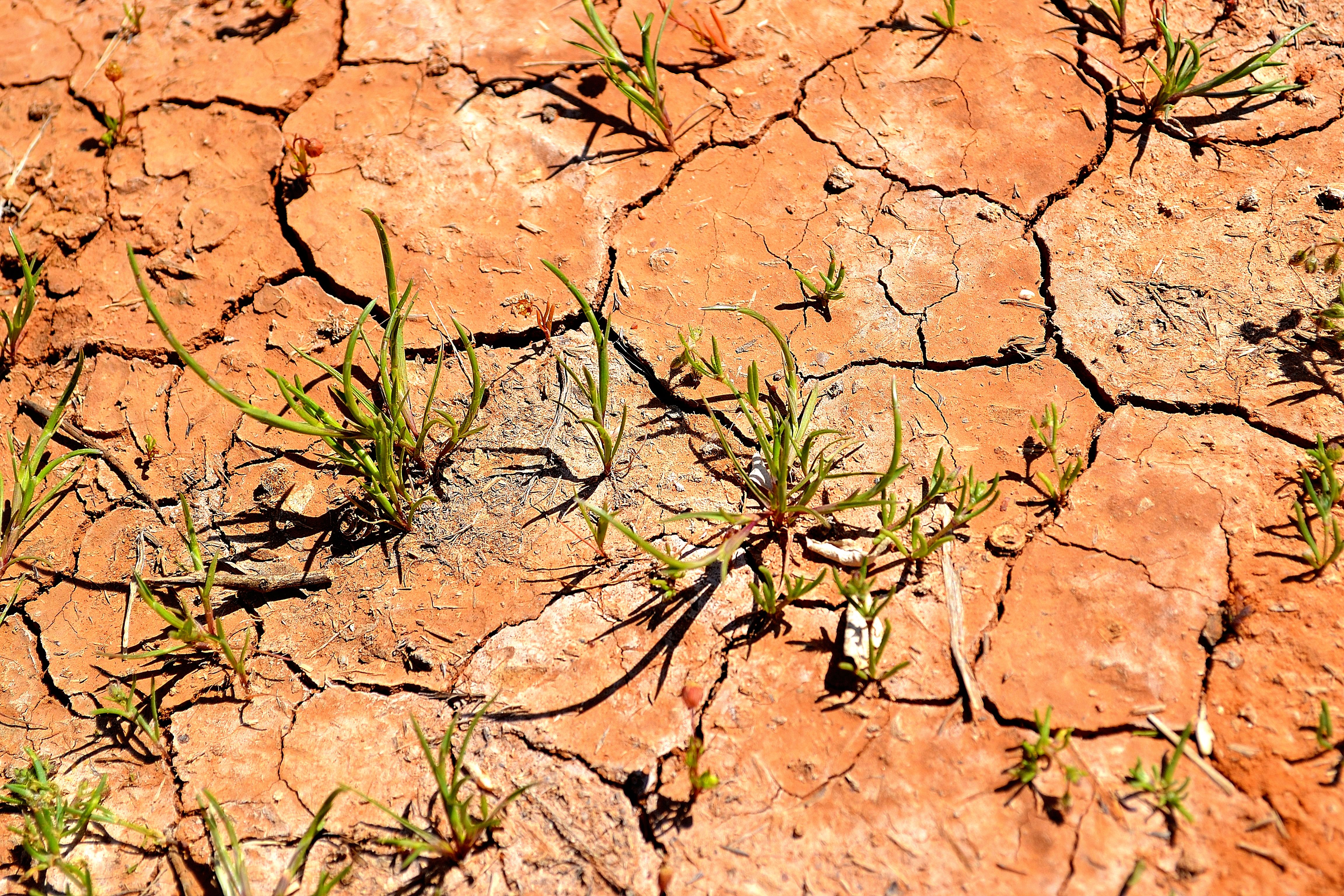 Описание в отпуске. Вернется через неделю.