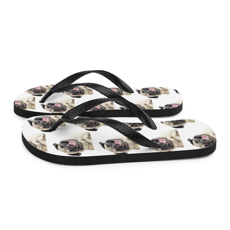 Thumbnail: Flip-Flops