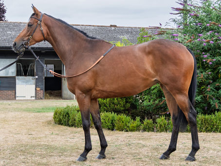 Syndicate Opportunity - Limited Shares Available