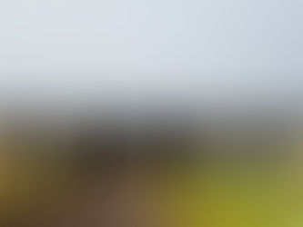 Grassroots Racing Morning