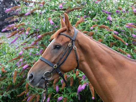 Owners required for exciting new prospects